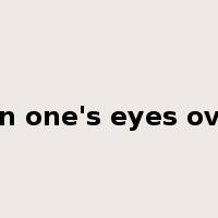 run one's eyes over是什么意思