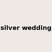 silver wedding是什么意思