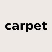 carpet是什么意思