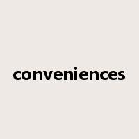 conveniences是什么意思