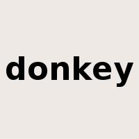 donkey是什么意思