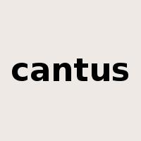 cantus是什么意思
