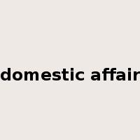 domestic affair是什么意思