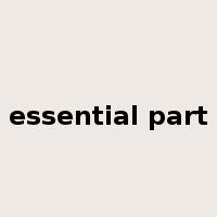 essential part是什么意思