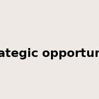 strategic opportunity是什么意思