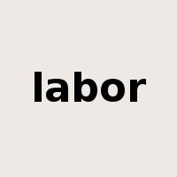 labor是什么意思