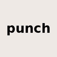 punch是什么意思