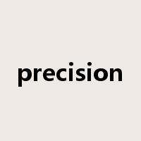 precision是什么意思