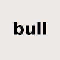 bull是什么意思