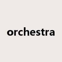 orchestra是什么意思