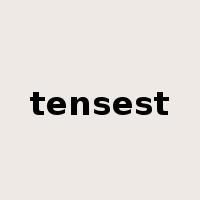 tensest是什么意思