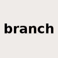 branch是什么意思