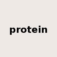 protein是什么意思