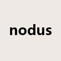 nodus是什么意思