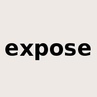 expose是什么意思