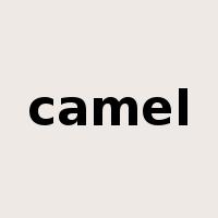 camel是什么意思