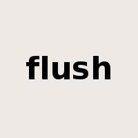 flush是什么意思