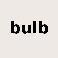 bulb是什么意思