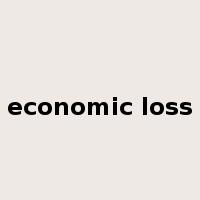 economic loss是什么意思