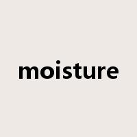 moisture是什么意思