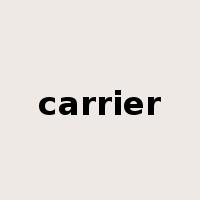 carrier是什么意思