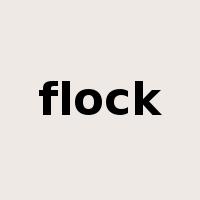 flock是什么意思