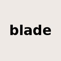 blade是什么意思