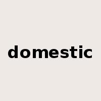 domestic是什么意思