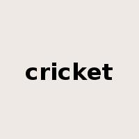 cricket是什么意思