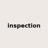 inspection是什么意思