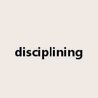 disciplining是什么意思