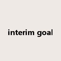 interim goal是什么意思