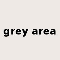 grey area是什么意思