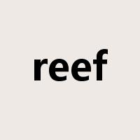 reef是什么意思