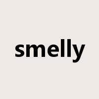 smelly是什么意思