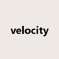 velocity是什么意思