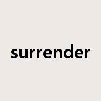surrender是什么意思