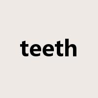 teeth是什么意思