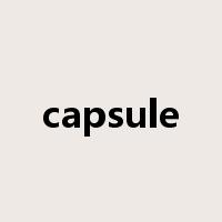 capsule是什么意思