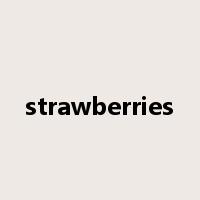 strawberries是什么意思