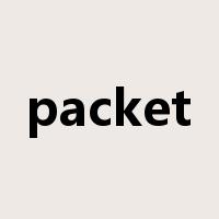 packet是什么意思