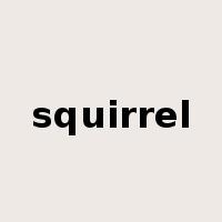 squirrel是什么意思