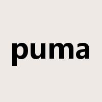 puma是什么意思