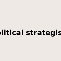 political strategists是什么意思