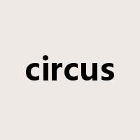 circus是什么意思
