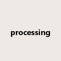 processing是什么意思