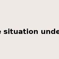 bring the situation under control是什么意思