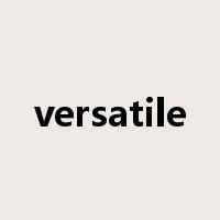 versatile是什么意思
