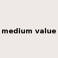 medium value是什么意思