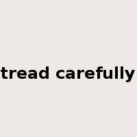 tread carefully是什么意思